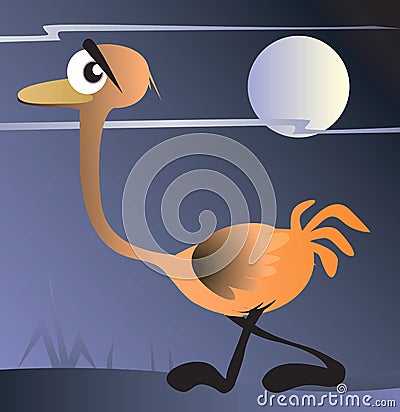 Ostrich Vector Illustration