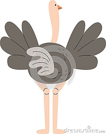 Ostrich Bird Back Vector Illustration