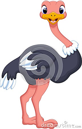 Ostrich cartoon Stock Photo