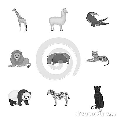 Ostrich emu, crocodile, giraffe, tiger, penguin and other wild animals. Artiodactyla, mammalian predators and animals Vector Illustration