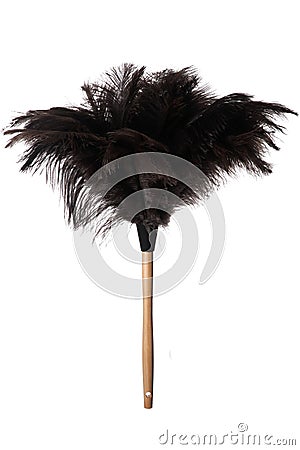 Ostrich Feather Duster Stock Photo