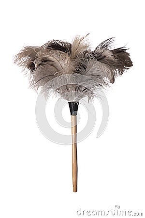 Ostrich Feather Duster Stock Photo