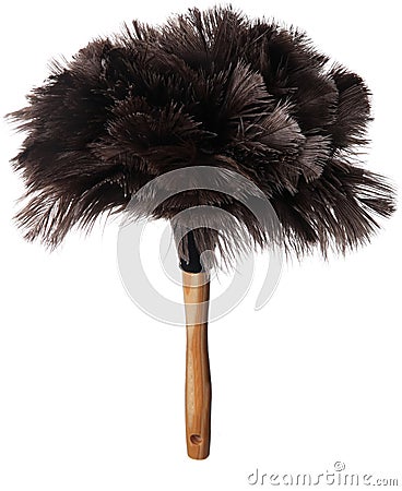 Ostrich Feather Duster Stock Photo