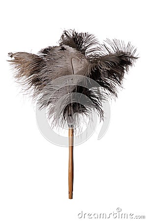 Ostrich Feather Duster - Isolated Stock Photo