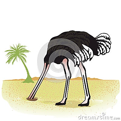 Ostrich with head in sand Vector Illustration