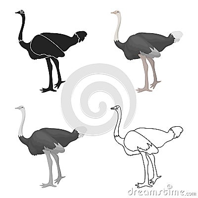 Ostrich icon in cartoon style isolated on white background. Bird symbol stock vector illustration. Vector Illustration