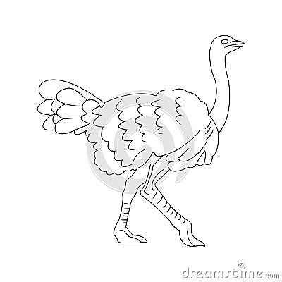 Ostrich icon Vector Illustration