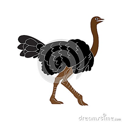 Ostrich icon Vector Illustration