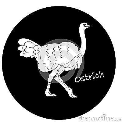 Ostrich icon Vector Illustration