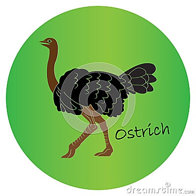 Ostrich icon Vector Illustration