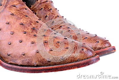 Ostrich Leather Boots Stock Photo