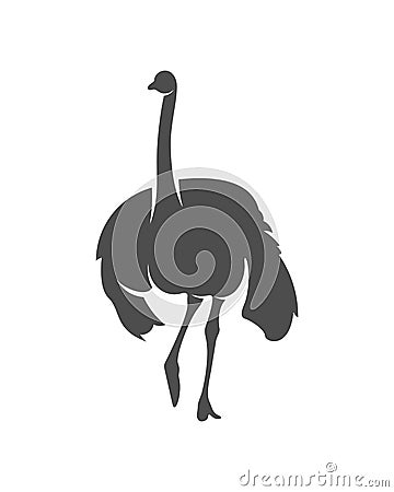 Ostrich logo vector, Animal graphic, Ostrich design Template illustration Vector Illustration