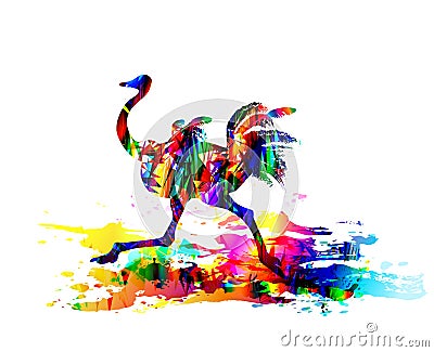 Ostrich running. Digital painting. Vector illustration Vector Illustration