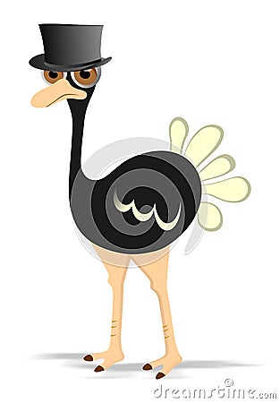 Ostrich Vector Illustration