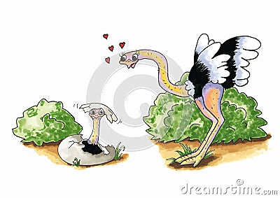 Ostrich with young Vector Illustration