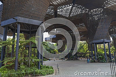 OsÃ© JerÃ³nimo Triana Orquideorama Botanical Garden is a large open room with plants, calateas, orchids, anthuriums, bullets, brom Editorial Stock Photo