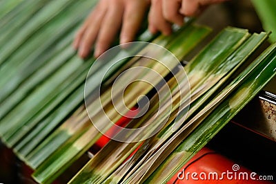 Ota otak Stock Photo