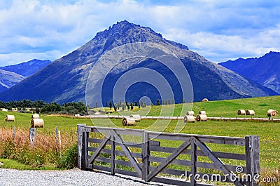 Otago - New Zealand Stock Photo