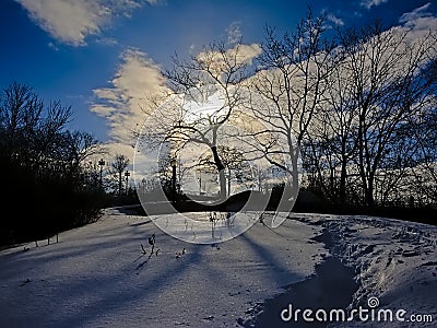 Ottawa river pathway covered in snow with bare tree silhouettes against birght sunlight Stock Photo