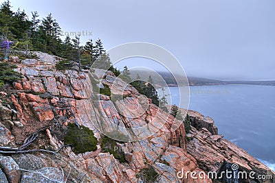 Otter Cliffs at Acadia National Park Stock Photo