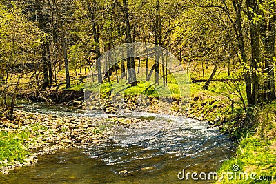 Otter Creek Gingerly Flowing in the Early Spring Stock Photo