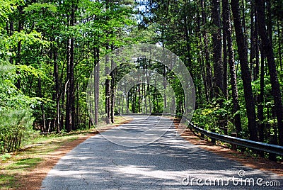 Ouachita National Forest Mountain Pine Road Stock Photo