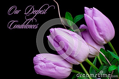 Our deepest condolences. Tulips on black background with text Stock Photo