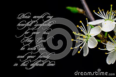 Our deepest condolences.white flowers on black background with text Stock Photo