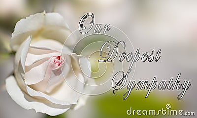 Our Deepest Sympathy Card - Designed for someone mourning the death of the loved one Stock Photo
