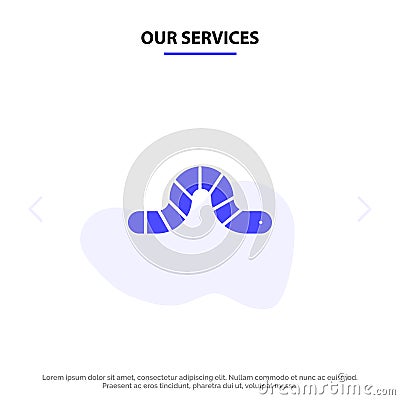 Our Services Animal, Bug, Insect, Snake Solid Glyph Icon Web card Template Vector Illustration