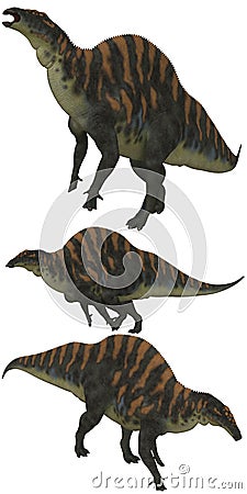 Ouranosaurus Stock Photo