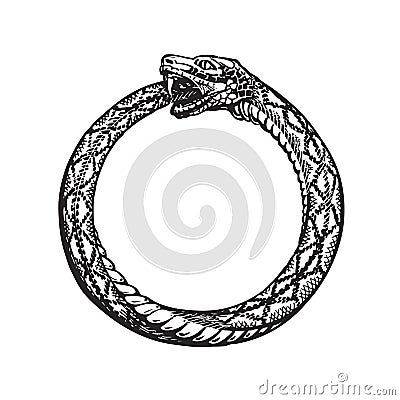 Ouroboros. Snake eating its own tail. Eternity or infinity symbol Vector Illustration
