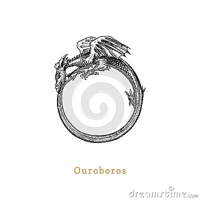 Ouroboros, vector illustration in engraving style. Vintage pastiche of esoteric and occult sign. Drawn sketch. Vector Illustration