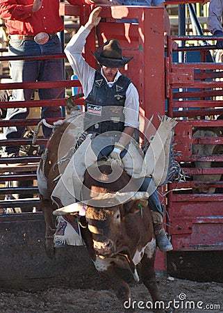 Out of the CHute Editorial Stock Photo