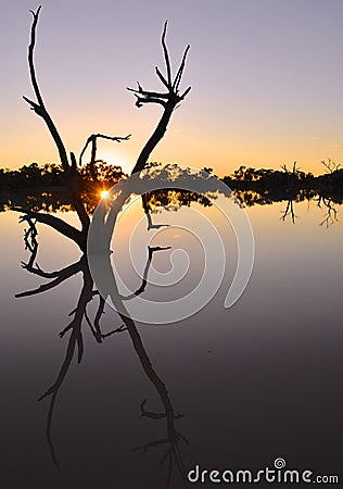 Outback Australian sunrise across a billabong Stock Photo