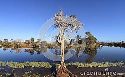 Outback Australian waterhole Stock Photo