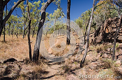 Outback, Undara Volcanic National Park, Australia Stock Photo