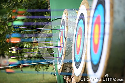 Outdoor archery. Shooting competitions. Arrows in a target. Goal achievement Stock Photo