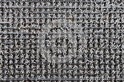 Outdoor carpet fibers closeup. Top view of door mat carpet bristles. Stock Photo
