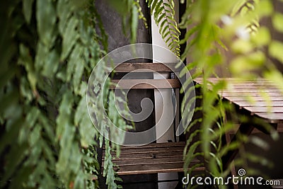 Outdoor Empty Chair surrounded by Green Fern Leaves in the Garden or Backyard. Summer Living Lifestyle Stock Photo