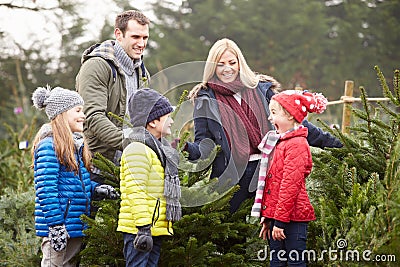 Outdoor Family Choosing Christmas Tree Together Stock Photo