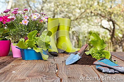 Outdoor gardening tools Stock Photo