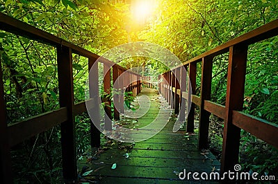 Outdoor hiking nature trail Stock Photo