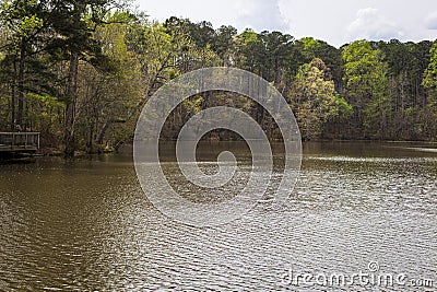 The outdoor lake at Historic Yates Mill County Park Stock Photo