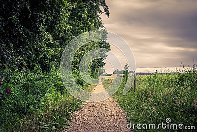 Outdoor path in cloudy weather Stock Photo