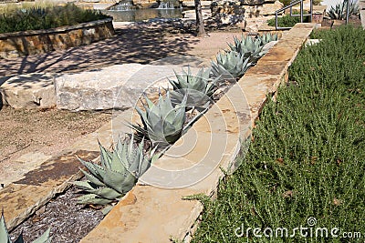 Outdoor plant bed design Stock Photo
