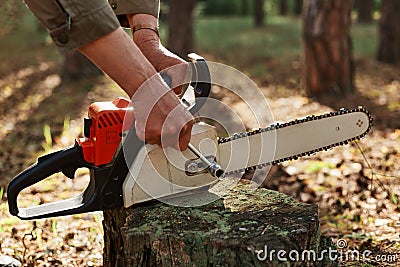 Outdoor shot of unknown person worker fixing chainsaw before or after deforestation, logger fixing tool for cutting trees, Stock Photo