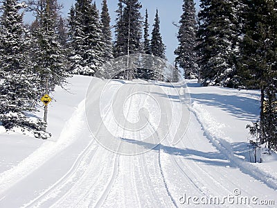 Outdoor trail in Winter Stock Photo