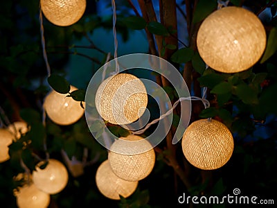 Outdoor Tree with Decorated Circular Lights, lamp light Stock Photo