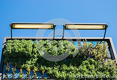 Outdoor vertical wall garden Stock Photo